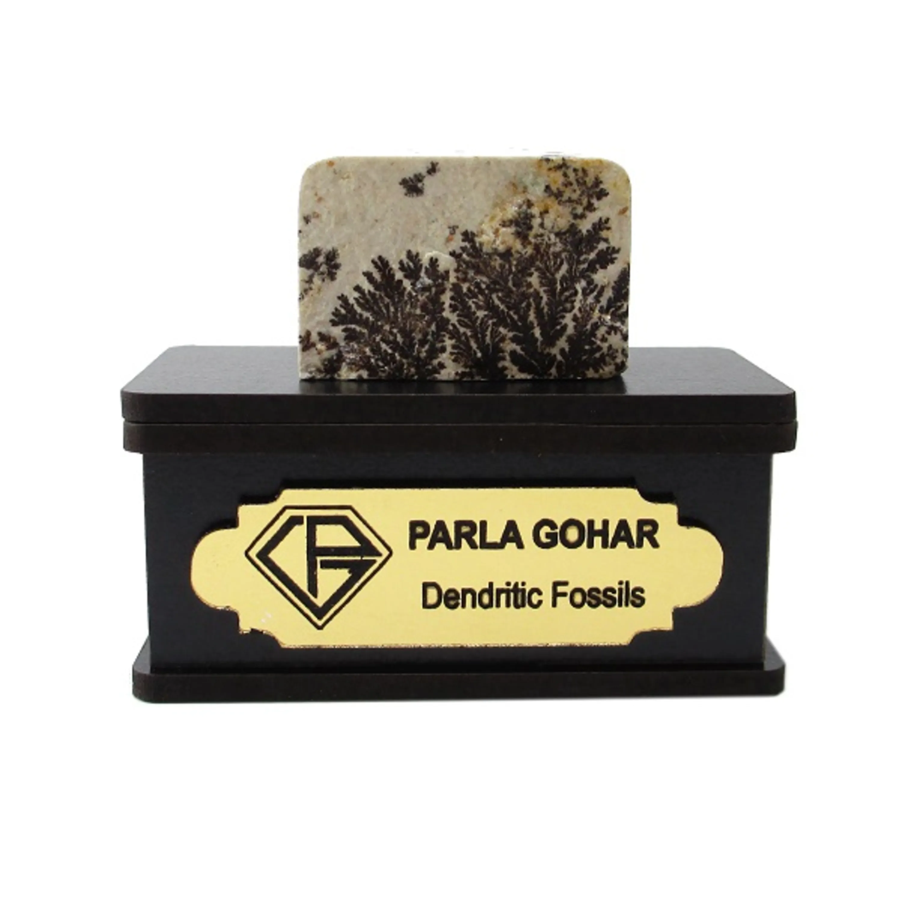 شجر  دندریتی  2207